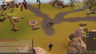 First Level 3 to get Araxxor Base Pet RS3 [upl. by Oderfla]