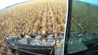 Gleaner L2  Corn Harvest 2012 [upl. by Howey]