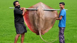 60 Kg Giant StingRay In Mud Hole  തിരണ്ടി ചുട്ട് കറിവെച്ചപ്പോൾ  M4 Tech [upl. by Ecirp]