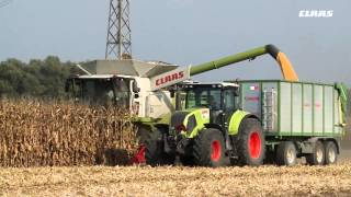 CLAAS In Campo 2015  Della Ca [upl. by Joash]