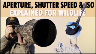 Aperture Shutter Speed amp ISO Explained for Wildlife Photography  What Settings to Use for Wildlife [upl. by Kcirdneked]