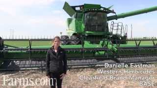 Canola Report The Benefits of Straight Cutting Canola [upl. by Rosabella447]