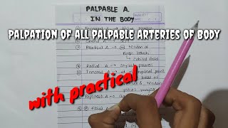 Palpation of all palpable Arteries of Body [upl. by Asylla564]