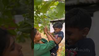 கூஜா கொய்யா பழம்🍈 Pear Guava Fruit allwinjilly suvaiyosuvai kids story villagelife nature [upl. by Patrizia]