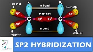 SP2 Hybridization [upl. by Esidnac]