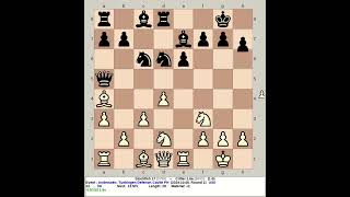 Stockfish 17 vs Critter 16a  Anderssen Tuebingen Defense chess [upl. by Noiram]