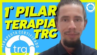 1° METODO da TRG  TERAPIA DE REPROCESSAMENTO GENERATIVO  MÉTODO CRONOLÓGICO [upl. by Gadmon661]