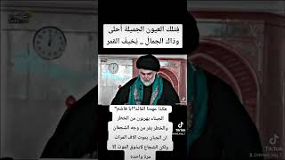 القائد الشجاع السيد مقتدئ الصدر حفظه الله قدوة للقادة [upl. by Aeila]