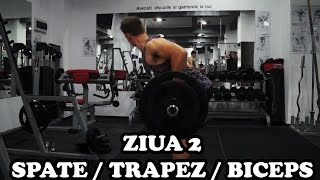 Spate  Trapez  Biceps  Ziua 2  Program incepatori [upl. by Seema522]