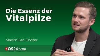 Dualextraktion und mehr Die entscheidenden Methoden der Vitalpilzgewinnung  QS24 [upl. by Evvie]