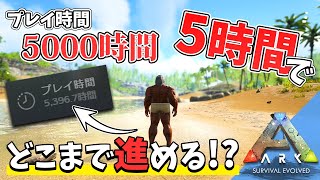 【ARK】5000時間プレイしてると5時間でどこまで進めるのか検証！「ARK Survival Evolved」実況プレイ【アーク ASE 初心者必見 アイランド】 [upl. by Elden]