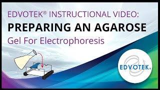 Preparing an Agarose Gel For Electrophoresis  Edvotek Video Tutorial [upl. by O'Brien854]