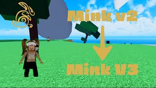 I GOT MINK V2 AND MINK V3 IN ONE VIDEO ROBLOX BLOX FRUITS [upl. by Heurlin]