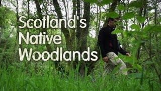 Scotlands Native Woodlands [upl. by Nahpos]