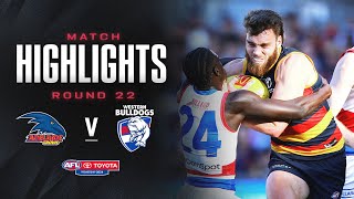 Adelaide v Western Bulldogs Highlights  Round 22 2024  AFL [upl. by Jesus432]