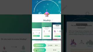 Shiny Mudkip evolve Mega Shiny Swampert pokemongo viral sorts [upl. by Araek274]