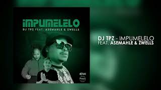 Dj TPZ Ft Asemahle amp Zwells  Impumelelo [upl. by Adina]