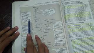 Glycolipids Metabolism and Clinicals  BIOCHEMISTRY [upl. by Ahsrat]