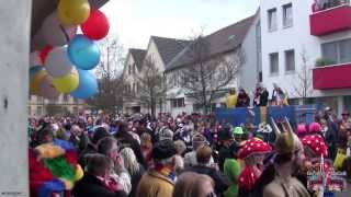 Faschingsumzug in MainzBischofsheim zahlreiche Zuschauer an Karneval erschienen  23022014 [upl. by Enicnarf837]