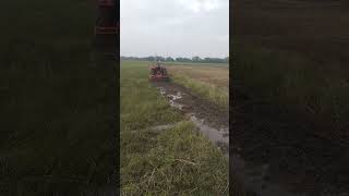 massey7250 automobile agriculture viralvideos farming farmer viralshort [upl. by Euqirrne]