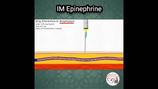 ADRENALINE Epinephrine DOSE in ANAPHYLAXIS pediatrics medicine epinephrine [upl. by Ahsiemal]