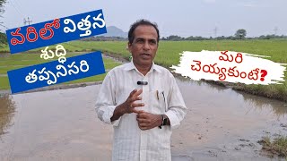 వరిలో విత్తన శుద్ధి తప్పనిసరిseed treatment must in paddykarshaka Nesthamagriculture tips [upl. by Anyzratak]