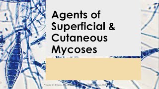 Basic Medical Mycology 02  SUPERFICIAL amp CUTANEOUS MYCOSES Mahon 7th ed [upl. by Lacefield230]