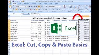 Excel HowTo Cut Copy and Paste Basics [upl. by Yonatan]