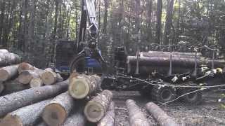 TimberPro TF830B unloading logs [upl. by Ehrman]