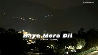 Haye Mera Dil Song Slowed  Reverb  Yo Yo Honey Singh  musicworldyt [upl. by Bergstrom]