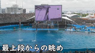 【名古屋港水族館】イルカパフォーマンス2023年7月16日 [upl. by Bristow]