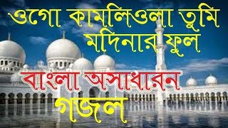 Bangla New Gojol 2019।Bangla Best Gojol।Bangla Islamic Song।gojol।bangla gojol।Sm Sofikul [upl. by Ahmad]