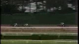 1979 Belmont Stakes Spectacular Bid finishes 3rd [upl. by Nnhoj638]