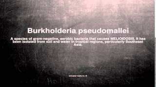 Medical vocabulary What does Burkholderia pseudomallei mean [upl. by Ahsilad]