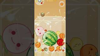 Watermelon Game watermelon watermelondrop watermelonmerge shorts games [upl. by Hogue416]