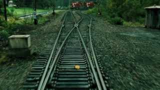 Fox  The Runaway Train Cover Official music video [upl. by Ayahs]