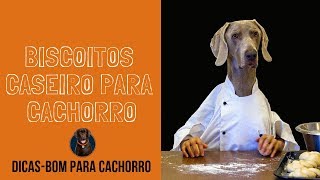 Como fazer biscoitos caseiros para o seu pet Simples e Fácil [upl. by Yrneh]