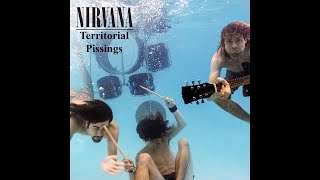 Nirvana Territorial Pissings guitar backing track with Vocals [upl. by Call]