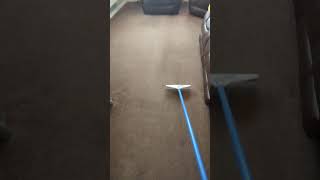 Todays raking session 🤪 asmr bliss carpetcleaning carpetraking satisfying youtube [upl. by Hersh224]