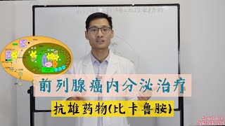 【攝護腺癌】【前列腺 癌】前列腺癌内分泌治疗之抗雄激素药物的作用机制，比卡鲁胺、恩杂鲁胺 [upl. by Tompkins]