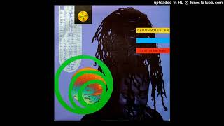 Caron Wheeler  Livin In The Light Brixton Bass Mix 1990 [upl. by Dachi]