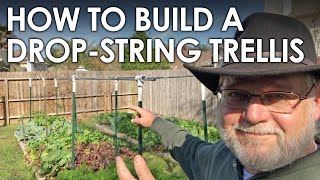 How to Build a String Trellis for Tomatoes and Cucumbers  Black Gumbo [upl. by Enialed]