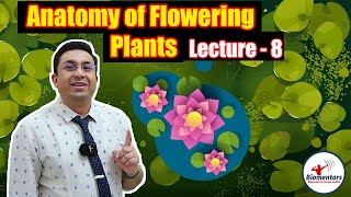 Anatomy of Flowering Plants l Lecture 8 l Biology l NEET [upl. by Mclyman940]