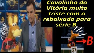 Cavalinho do Vitória muito triste com o rebaixado para série B do brasileirão [upl. by Araminta]