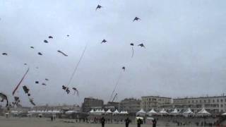 CerfsVolants Berck 2013  RedBull KiteForce [upl. by Steddman]