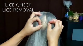 ASMR Satisfying Tingly Lice Check Lice Removal with comb  No Talking 😴💤🥱 [upl. by Otrevire866]