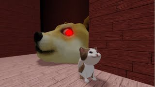 Doge Head Escape  полное прохождение  Roblox [upl. by Nedrah]