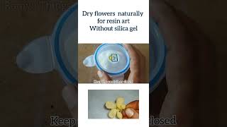 Lets dry flowers without silica gel  dry resin flowersresinflowers resinartist [upl. by Peugia]