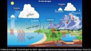 El ciclo del agua  Ecología  Biología  Khan Academy en Español [upl. by Merce]