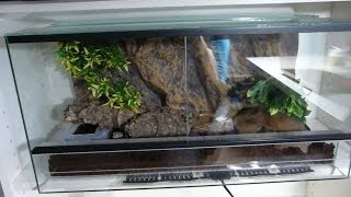 🦎 Como PREPARAR un TERRARIO para GECKO LEOPARDO  Como hacer terrario para Gecko Leopardo [upl. by Mooney]